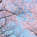 다*****_썸네일