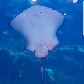K71*****_썸네일