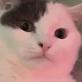 정*****_썸네일