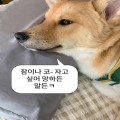 포*****_썸네일