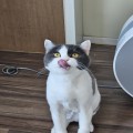 울*****_썸네일