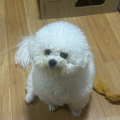 빨*****_썸네일