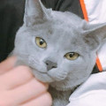 K30*****_썸네일