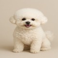 shi*****_썸네일