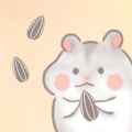 고*****_썸네일