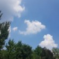 밝*****_썸네일