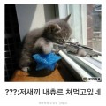 잘*****_썸네일