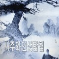 사주와인생탐험 프로필 이미지